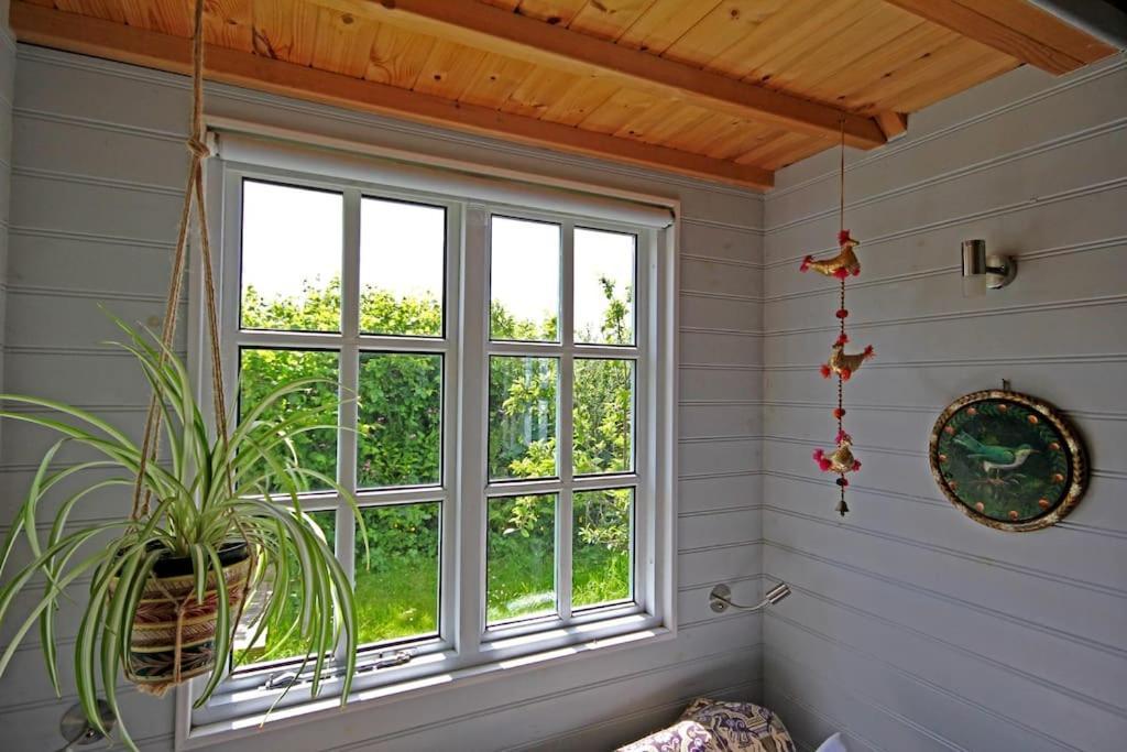 Tiny House On Isolated Farm By The Cornish Coast Villa บู๊ด ภายนอก รูปภาพ